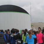 fornace biomasse 14